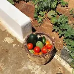 Charming Renovated Farmhouse! Paros - Antiparos! * Kampos (Antiparos)