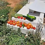 Charming Renovated Farmhouse! Paros - Antiparos! Casa vacanze *