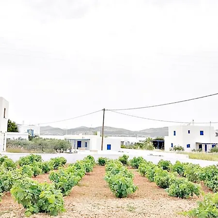 Charming Renovated Farmhouse! Paros - Antiparos! Дом отдыха Kampos (Antiparos)