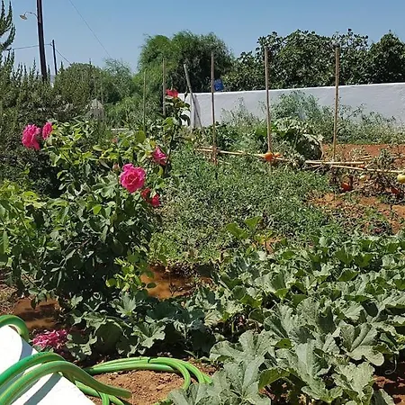 Charming Renovated Farmhouse! Paros - Antiparos! Дом отдыха Kampos (Antiparos)