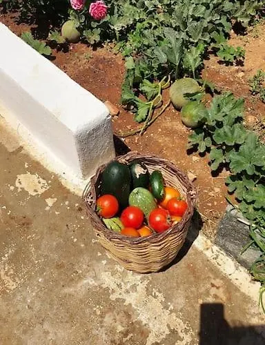 Charming Renovated Farmhouse! Paros - Antiparos! * Kampos (Antiparos)