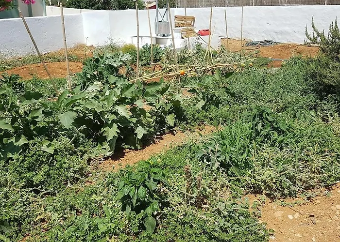 Charming Renovated Farmhouse! Paros - Antiparos!