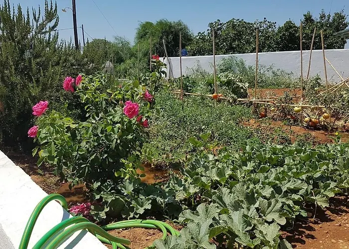 Charming Renovated Farmhouse! Paros - Antiparos! Дом отдыха Kampos (Antiparos)