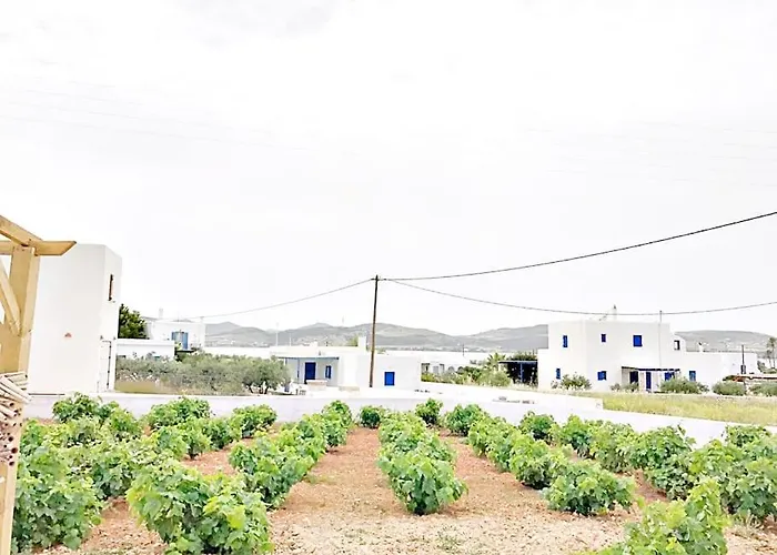 Charming Renovated Farmhouse! Paros - Antiparos! Nyaraló Kampos (Antiparos)