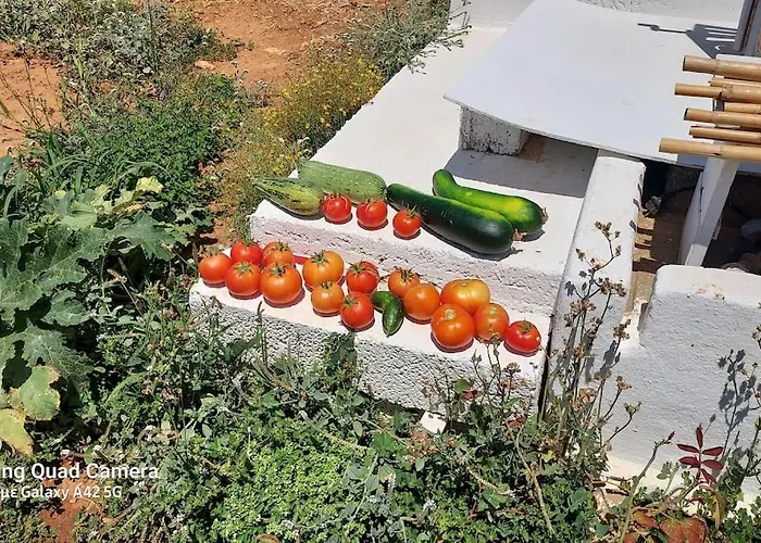 Charming Renovated Farmhouse! Paros - Antiparos! Nyaraló *